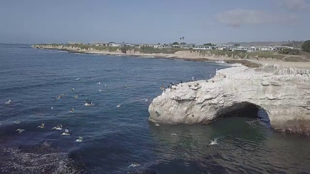 无人机拍摄的岩石形成拱门和野生鸟类视频下载