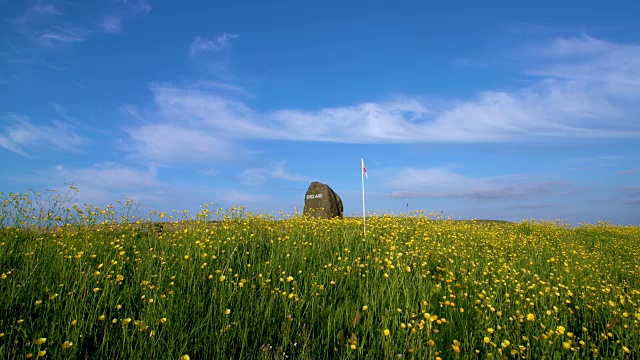 大石碑上的毛茛和英格兰标志，苏格兰A68号，英格兰视频素材