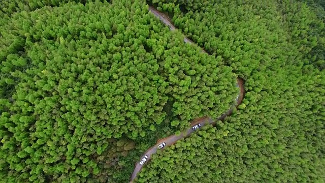 航拍的汽车行驶在山路上/福建，中国视频素材