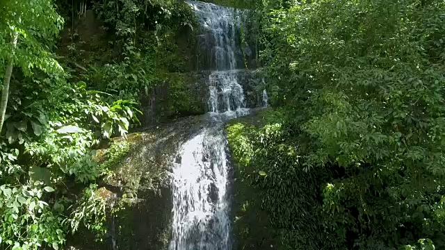 热带瀑布森林-巴西，科鲁帕，圣卡塔琳娜视频素材