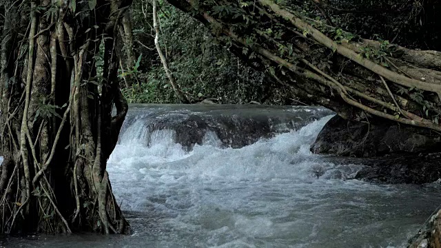 神奇的热带雨林和河流或瀑布与岩石的风景。视频慢动作视频素材