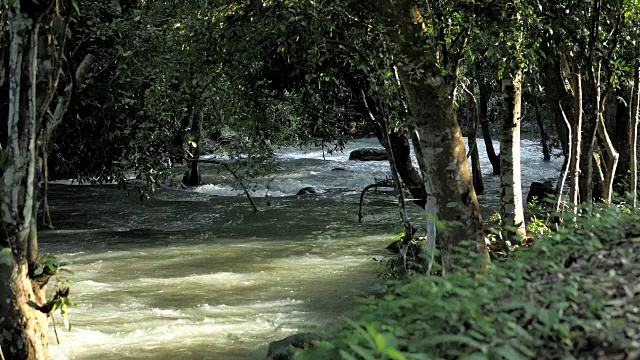 神奇的热带雨林和河流或瀑布与岩石的风景。视频慢动作视频素材