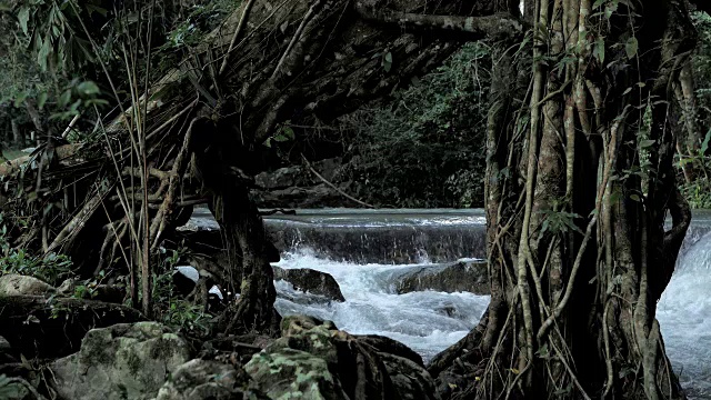 神奇的热带雨林和河流或瀑布与岩石的风景。视频慢动作视频素材