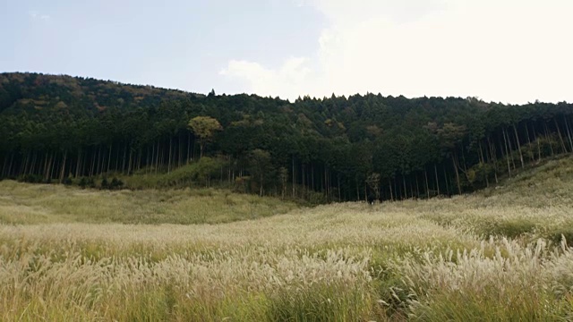 Sengokubara箱根视频素材