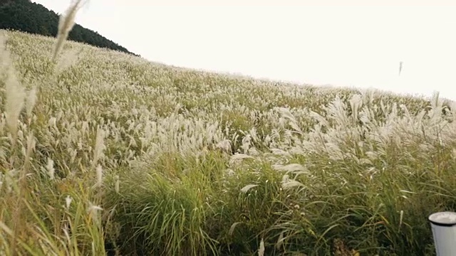 Sengokubara箱根视频素材