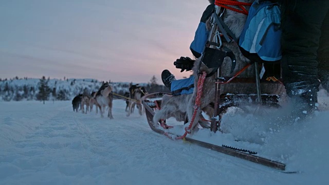 日出时雪橇狗在雪地上奔跑视频素材