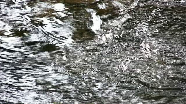 山区河流视频素材