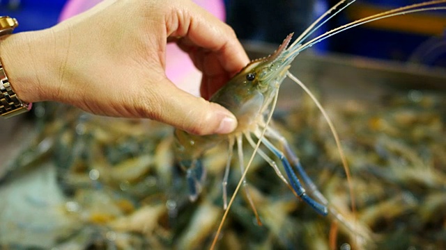 海虾在市场上卖海鲜。视频素材