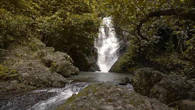 瀑布在森林视频素材