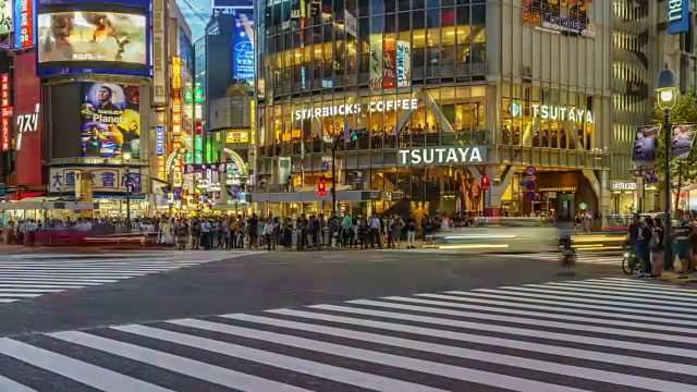 T/L WS ZO涩谷在夜间/东京，日本视频素材