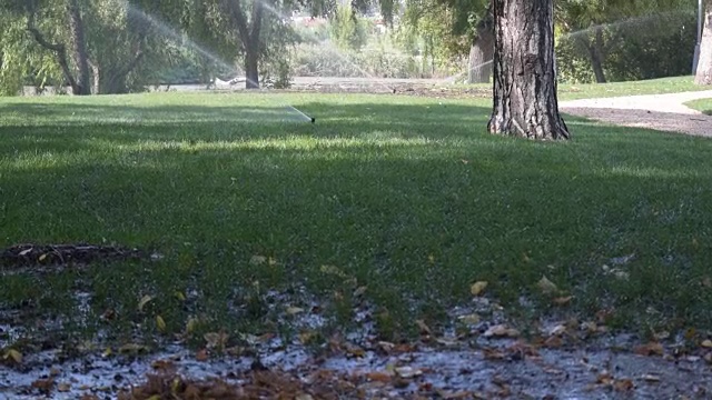 设有旋转洒水装置的公园绿地、草坪和树木视频下载