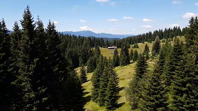 空中特写镜头的森林在保加利亚山区。视频素材