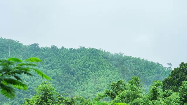 雾在早上在雨林山脉上滚动，时间流逝视频视频素材