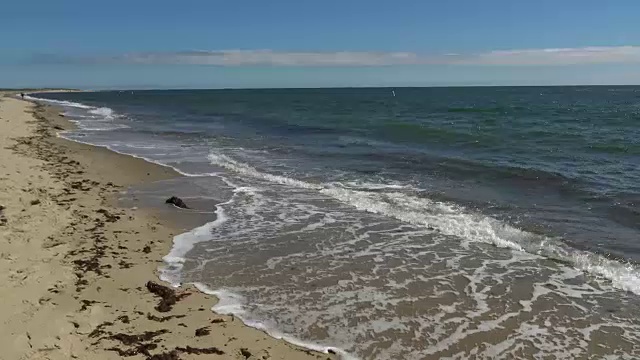 科德角海滩波浪视频下载