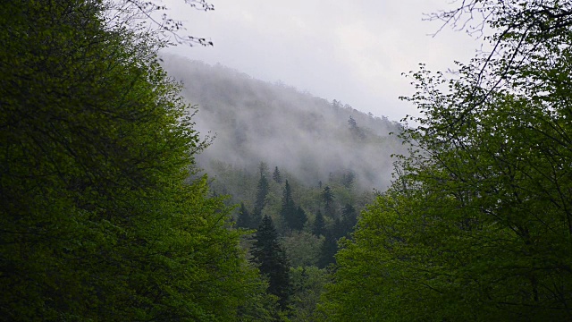 低云层视频素材