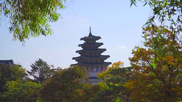 韩国秋天的景福宫视频素材