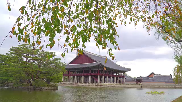 韩国秋天的景福宫视频素材