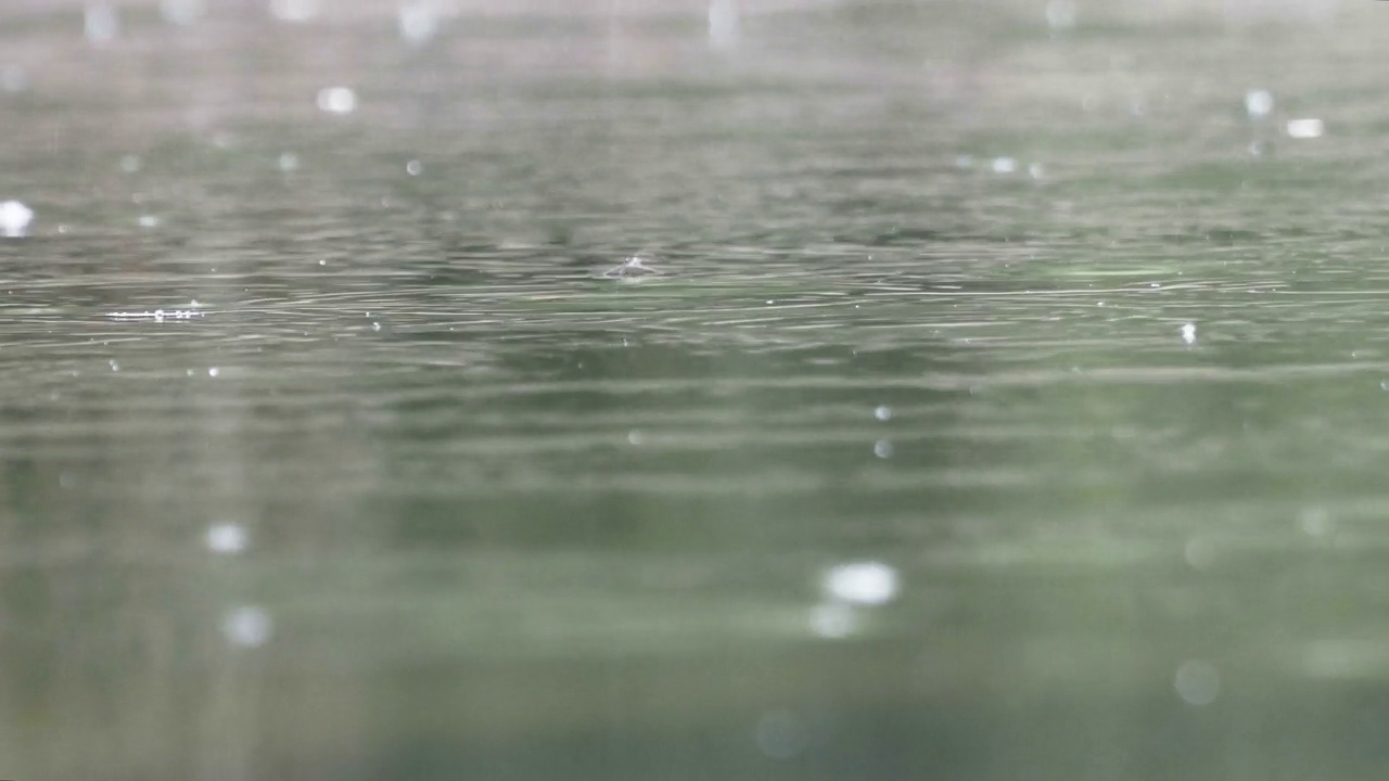 雨滴落在池塘上视频素材