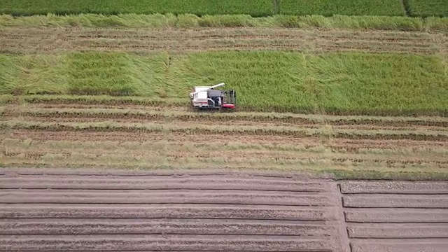 收割玉米的鸟瞰图视频素材