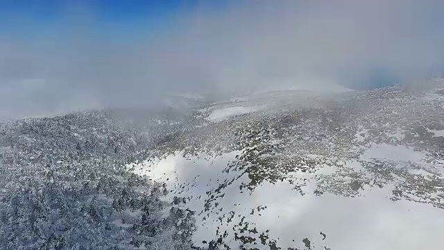 济州岛Hallasan山(韩国最高的山)上的韩国冷杉树被雪覆盖视频素材