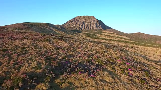 济州岛Hallasan(韩国最高的山)上的Seonjakjiwat平原视频素材