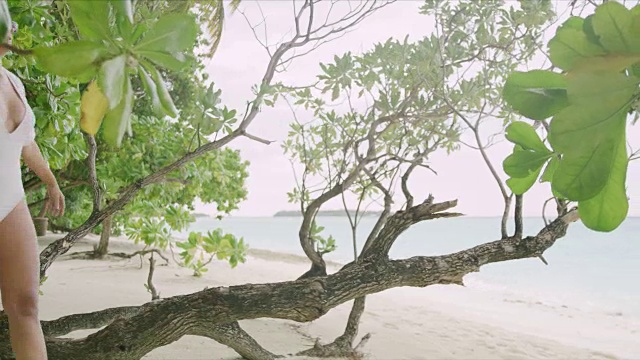 在马尔代夫热带海滩上行走的女士视频素材