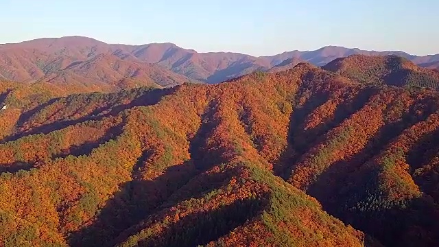 韩国山区的秋景视频素材