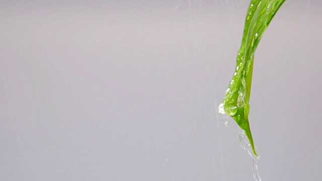 绿叶上的雨，慢镜头视频素材