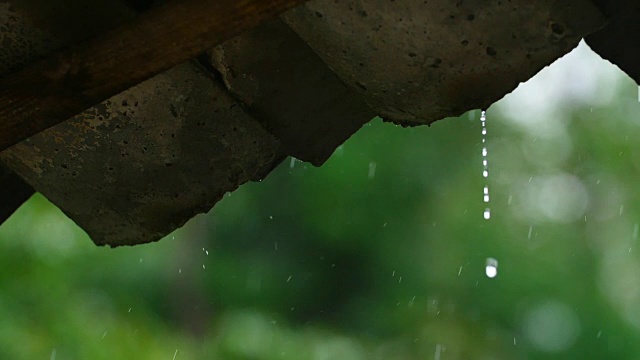 雨落屋顶视频素材