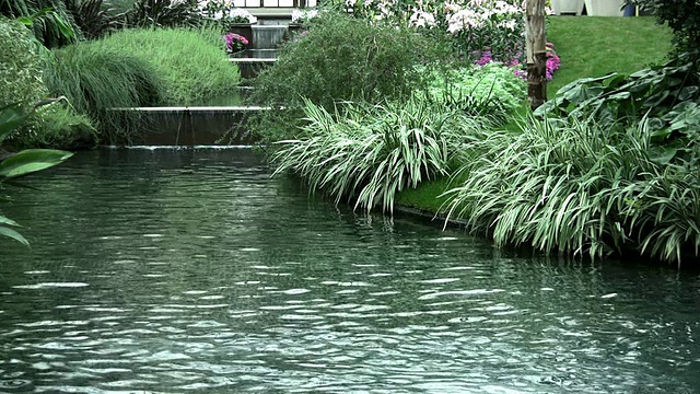 室内花园和温室。视频素材