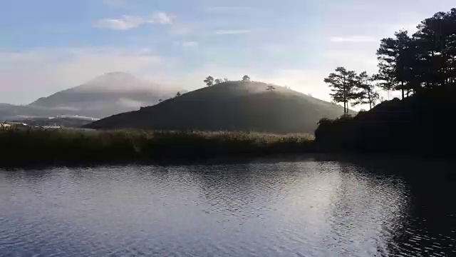 黎明时分，松林旁的湖视频素材