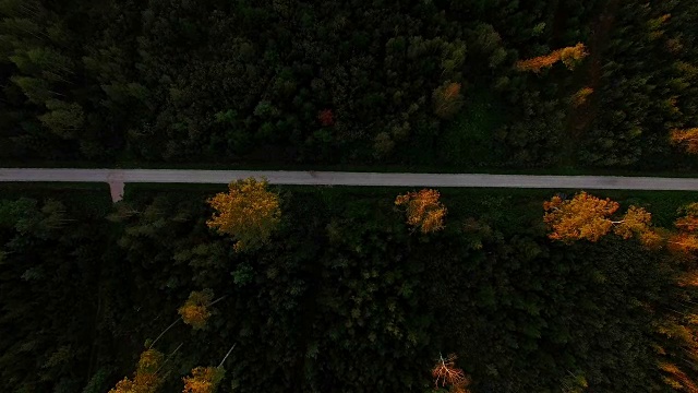 鸟瞰图:秋天的巴伐利亚森林视频素材