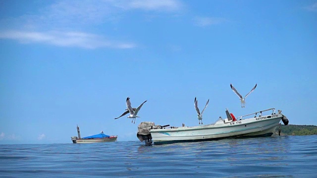 鸟瞰海鸥飞过希腊爱琴海沿岸视频素材