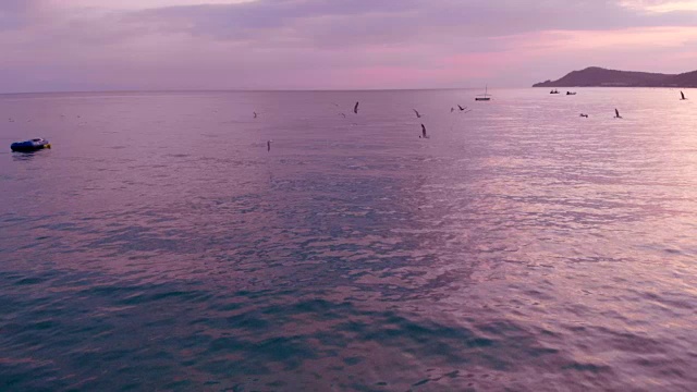 鸟瞰海鸥飞过希腊爱琴海沿岸视频素材