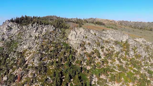 鸟瞰图落基山和树视频素材