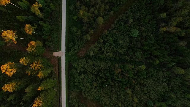 鸟瞰图:秋天的巴伐利亚森林视频素材