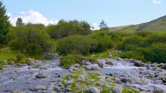 湍急的山河在山谷里的盛夏森林里流过大石头视频素材