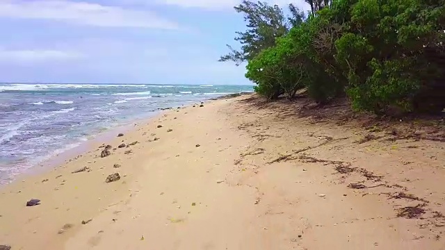 夏威夷-北岸海滩视频素材