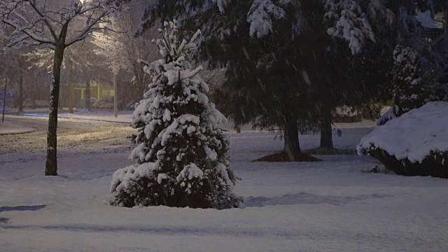 街灯的一个公寓房子的城市在晚上下雪的背景视频素材