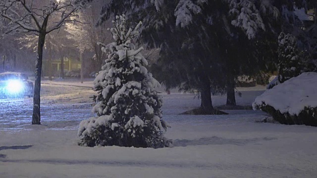 夜冬路灯与飘落的雪在冬天的夜晚下雪视频素材