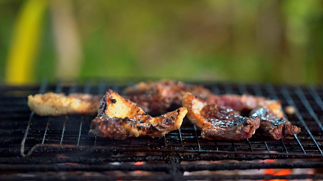 在山上露营时做烤肉。肉在热腾腾的火和火焰上，烟流在上面烤模糊的背景。它美味的食物露营在森林。视频素材