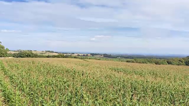 鸟瞰图，横向移动，低飞在新鲜的绿色玉米田和黄色草地与多云的天空视频素材