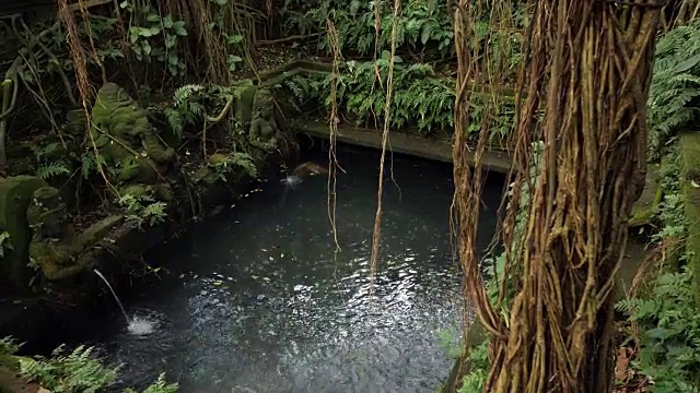 乌鲁瓦图郊区森林里的天然水池视频素材