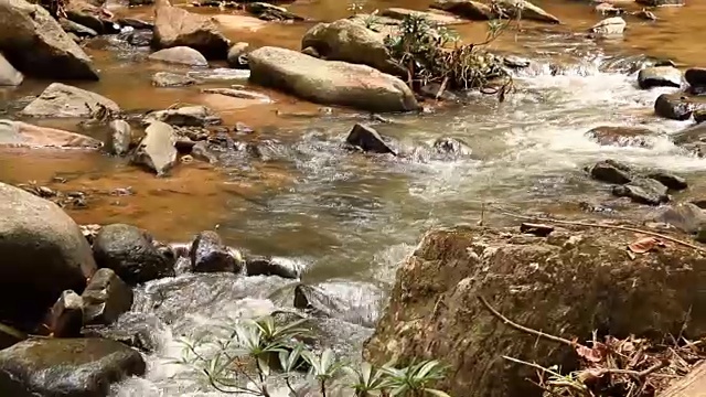 泰国清迈的雨林溪流视频素材