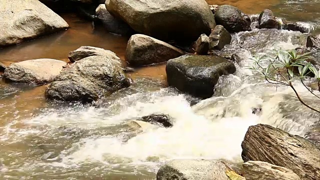 泰国清迈的雨林溪流视频素材