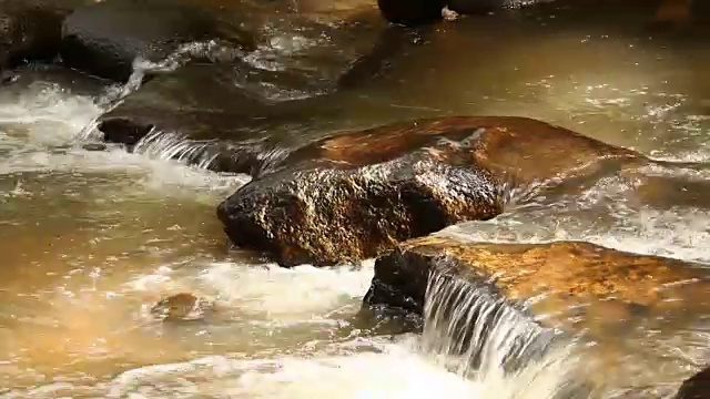 泰国清迈的雨林溪流视频素材