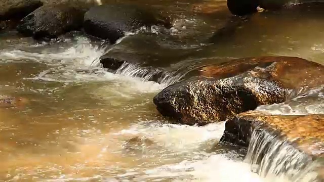 泰国清迈的雨林溪流视频素材