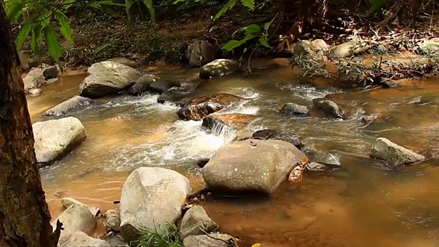 泰国清迈的雨林溪流视频素材