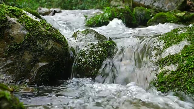 流在森林视频素材