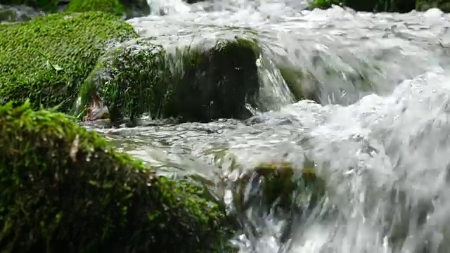 流在森林视频素材